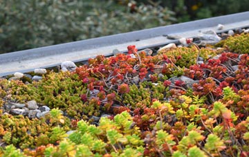 the cost of Wattisfield green roof installation