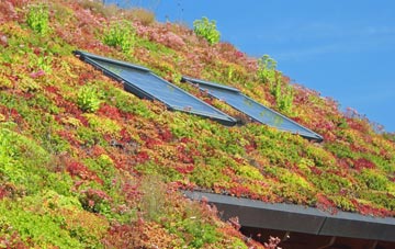 Wattisfield living roof systems
