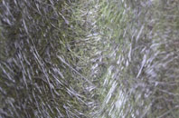 Wattisfield fibreglass roof work